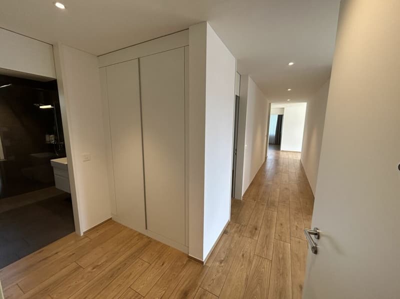 4.5- Zimmer-Attikawohnung im Eigentumsstandard gesucht? (9)