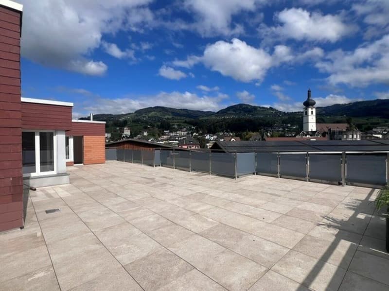 Traumhafte 5.5-Zimmerwohung mit grosszügigem Grundriss und Terrasse sucht Sie! (23)