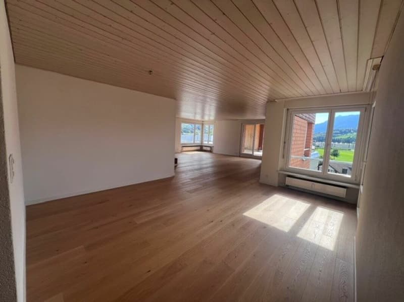 Traumhafte 5.5-Zimmerwohung mit grosszügigem Grundriss und Terrasse sucht Sie! (6)