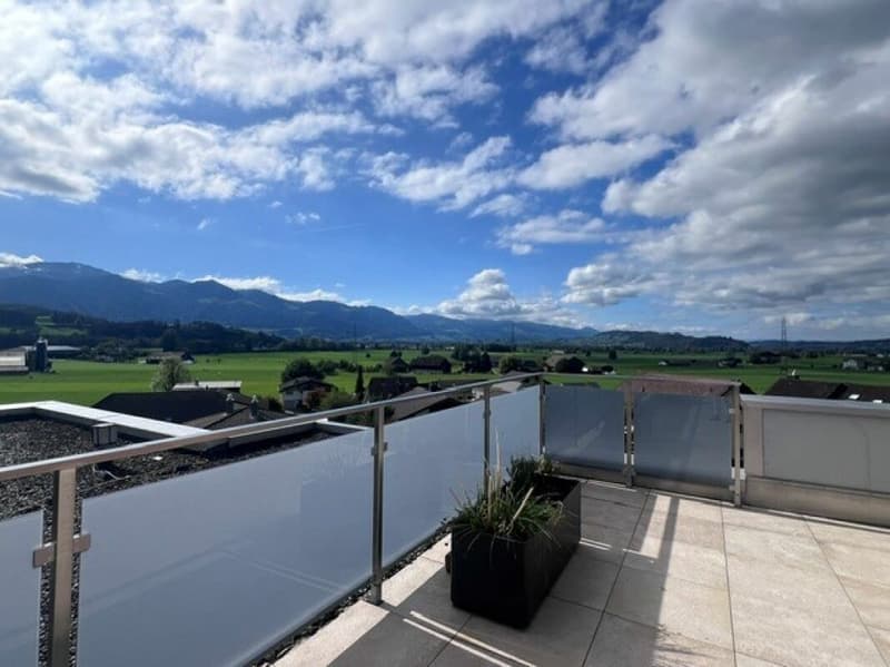 Traumhafte 5.5-Zimmerwohung mit grosszügigem Grundriss und Terrasse sucht Sie! (1)