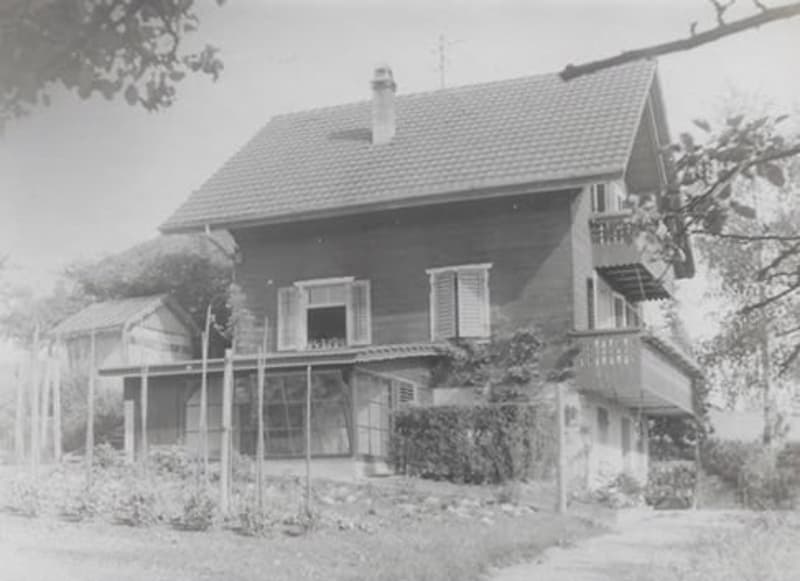 Bezauberndes Ensemble aus Chalet, Bungalow, Ateliergebäude & Schopf (23)