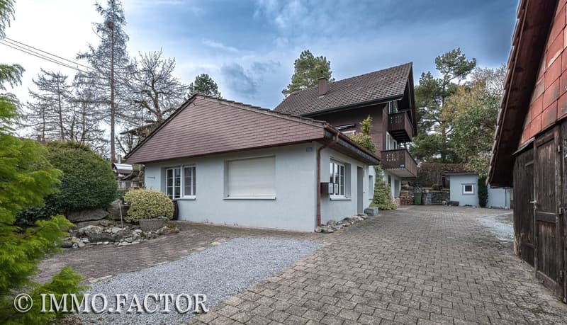 Bezauberndes Ensemble aus Chalet, Bungalow, Ateliergebäude & Schopf (12)