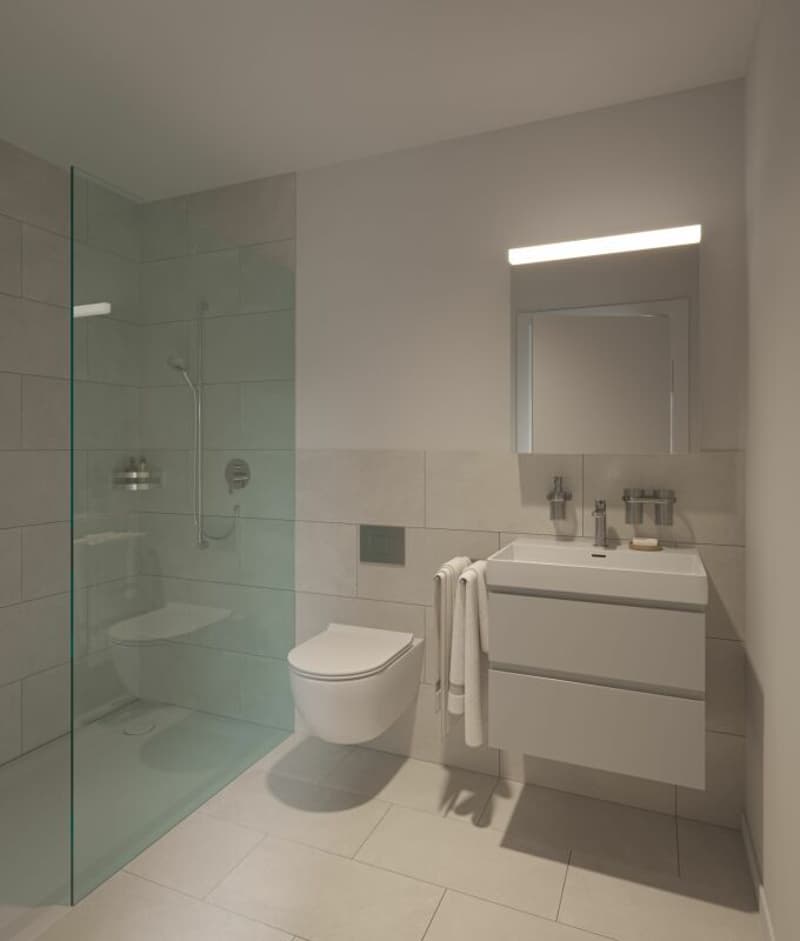 Moderne 3.5 Zimmer Terrassenwohnung (Erstwohnsitz) (3)