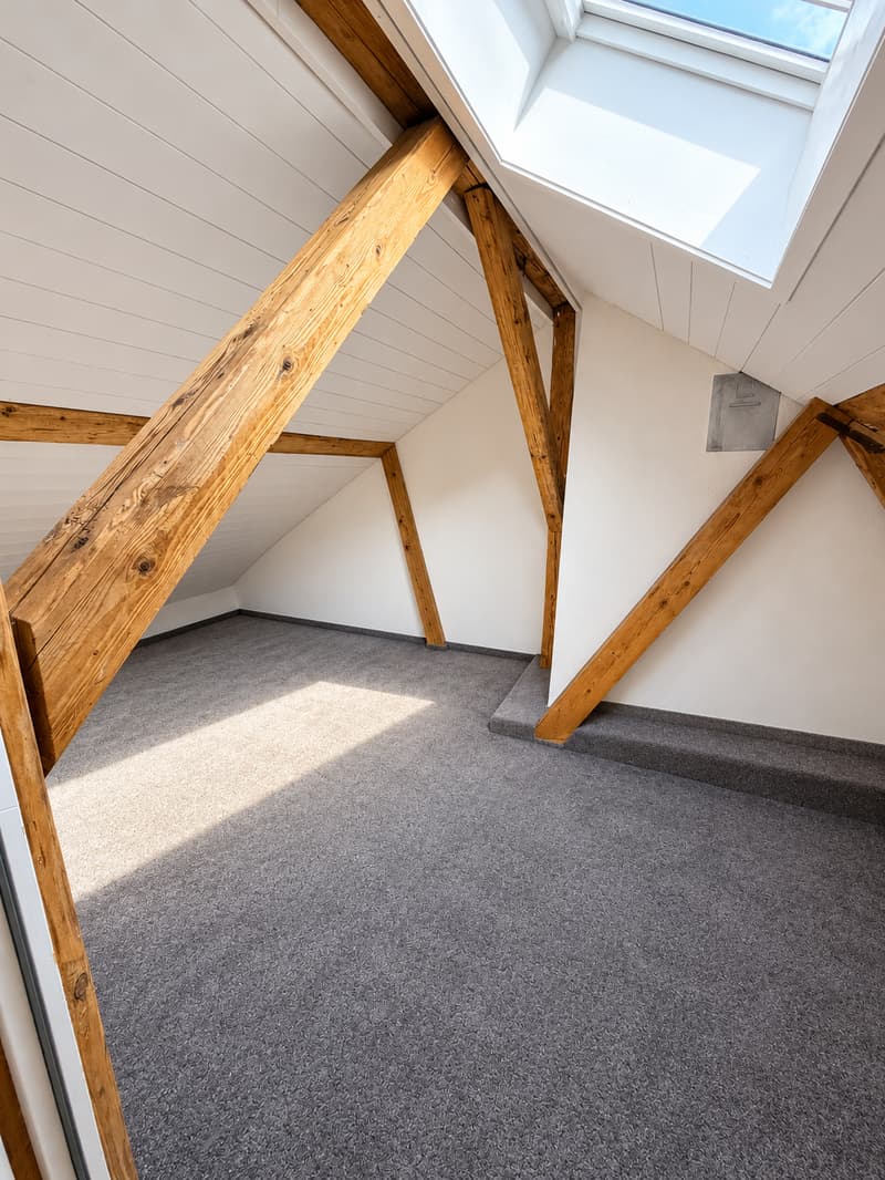Charmante 3-Zimmer-Dachwohnung mit Bergblick in Glarus (15)