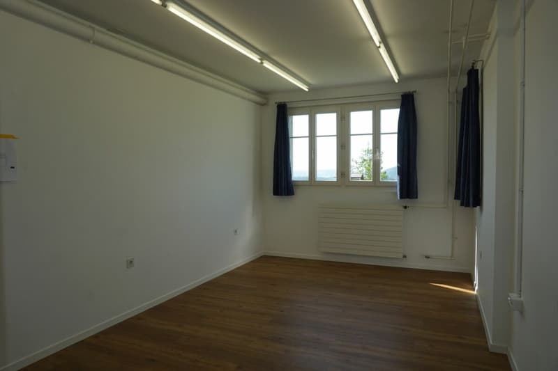 Bureau, Studio, Cabinet, Salon (2)