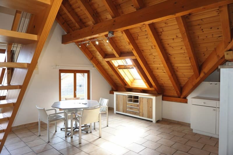 Gemütliche 3 1/2-Zimmer-Dachwohnung (1)