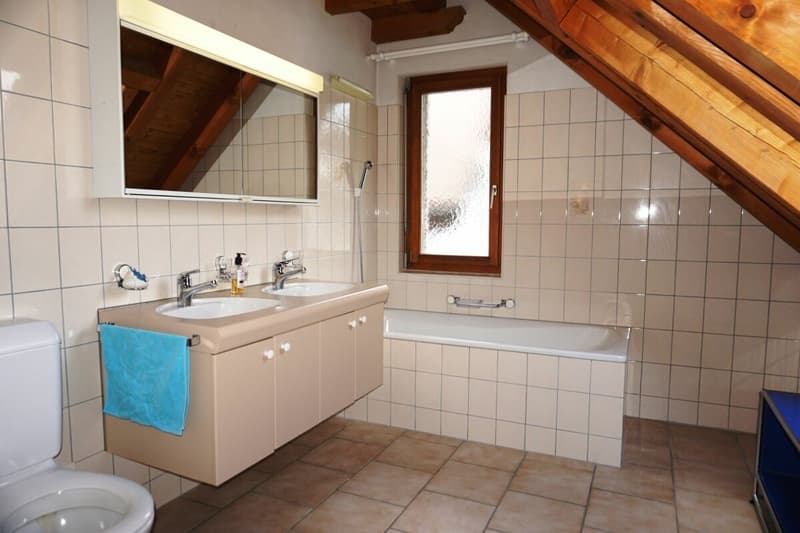 Gemütliche 3 1/2-Zimmer-Dachwohnung (8)