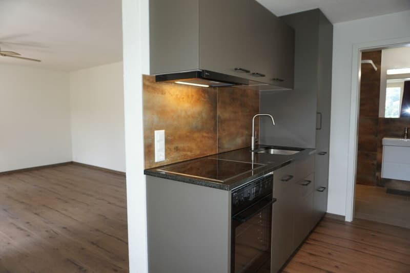 Hübsches 1-Zimmer-Studio (3)