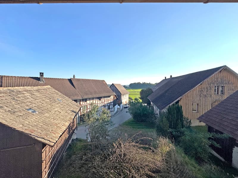Hausteil (vormals Bauernhaus), im Rohbau, Baubewilligung für Komplett-Sanierung vorhanden (15)