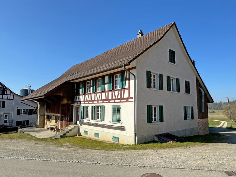 Landwirtschaftliches Anwesen mit Bauernhaus, div. Ökonomiegebäude und Wiesland , mit viel Potential (1)