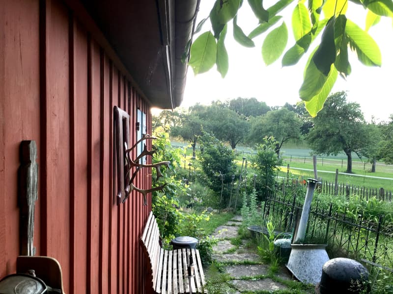 Charmantes Liebhaberobjekt, mit 6½ Zimmer, viel Holz und Wärme, mit Landwirtschaftsparzelle zur Thur (34)