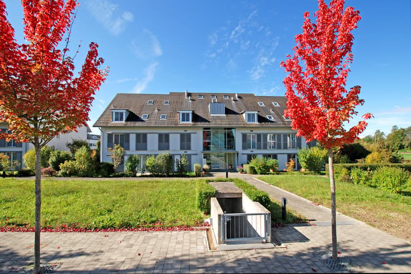 Attraktive Eigentumswohnung, 4½-Zimmer im Parterre, mit eigener Grünfläche und Tiefgaragenplatz (19)