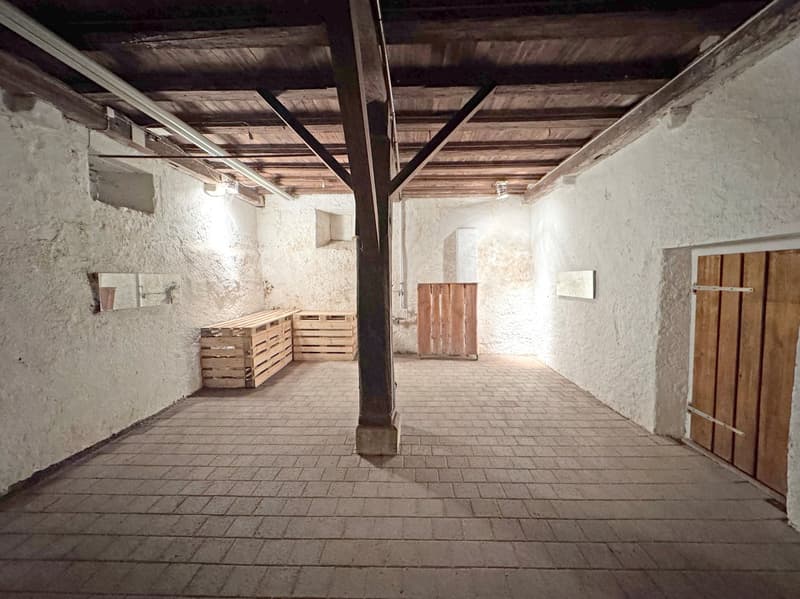 Historisches Einfamilienhaus mit 10.5 Zimmern in idyllischer Lage (21)