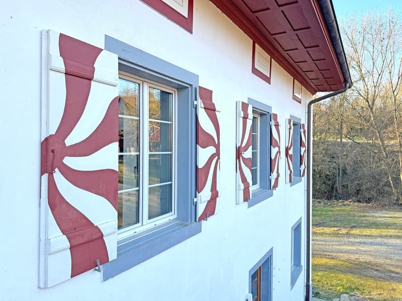Historisches Einfamilienhaus mit 10.5 Zimmern in idyllischer Lage (4)