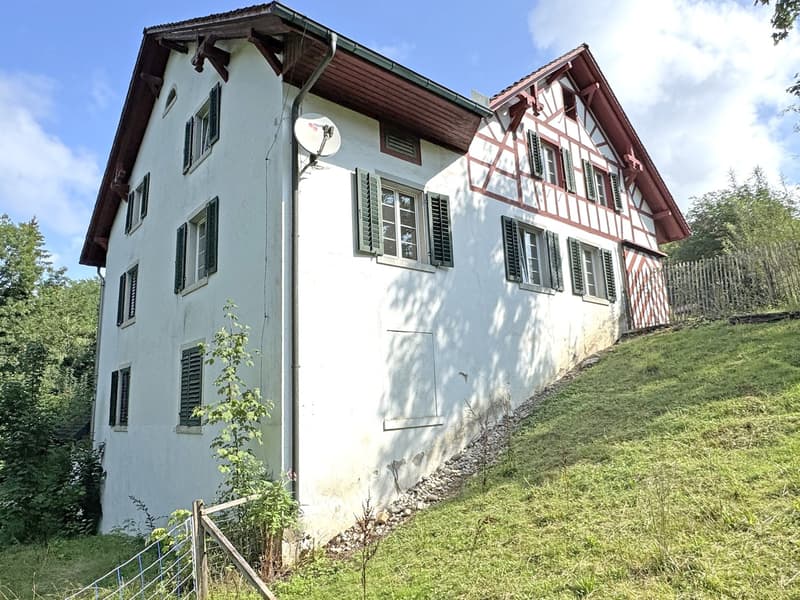 Historisches Einfamilienhaus mit 10.5 Zimmern in idyllischer Lage (23)