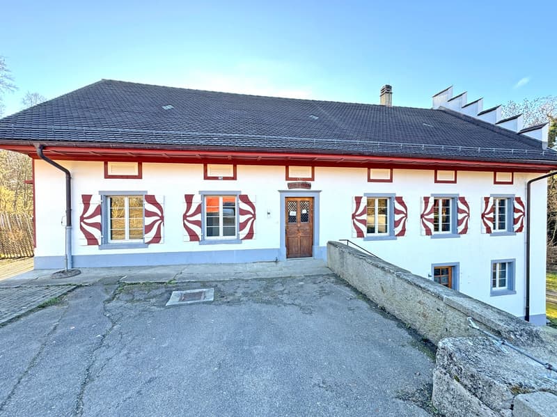 Historisches Einfamilienhaus mit 10.5 Zimmern in idyllischer Lage (3)