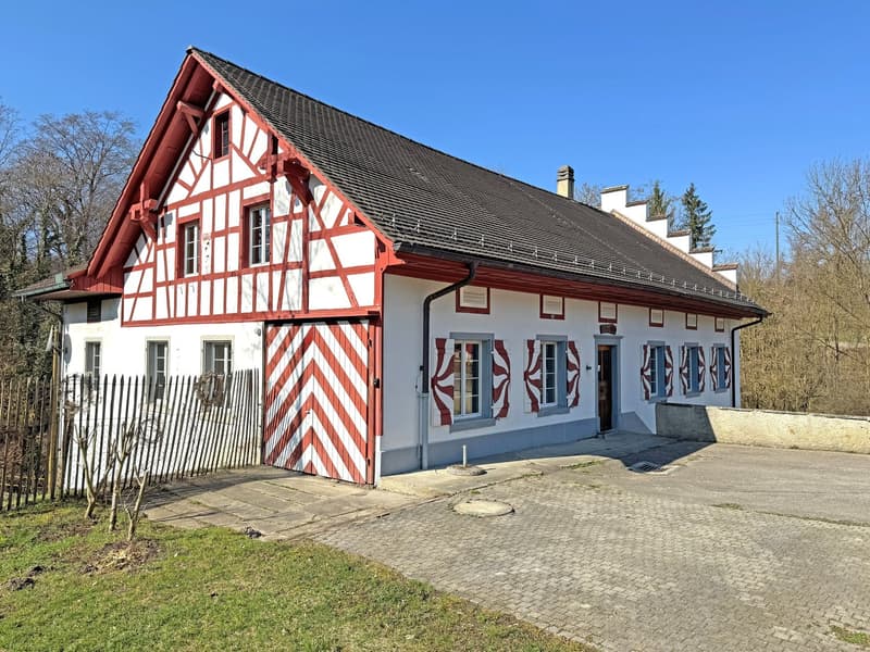 Historisches Einfamilienhaus mit 10.5 Zimmern in idyllischer Lage (2)