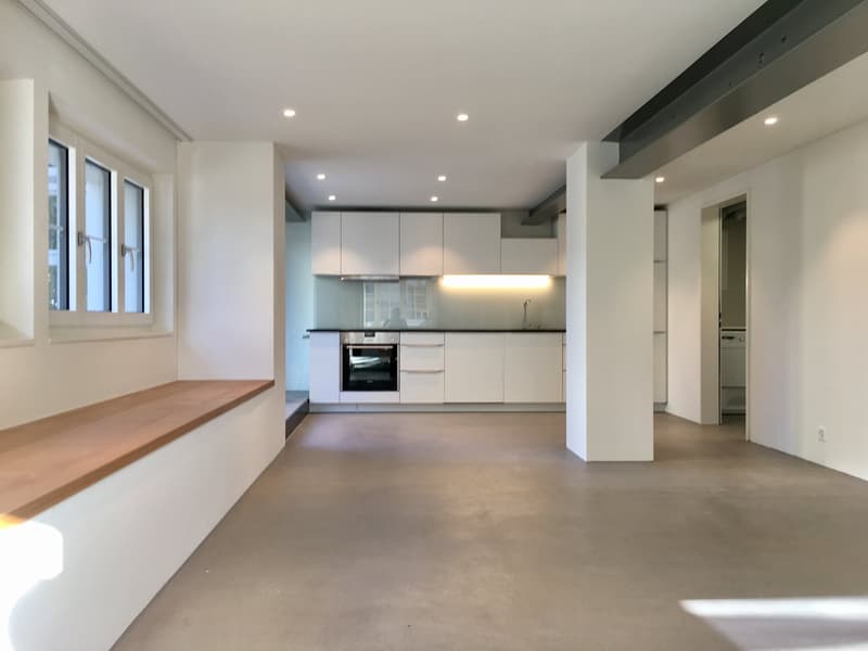 Wohnen am Bach , loftartiger Neubau im Altbau; Wohnen auf zwei Etagen (1)