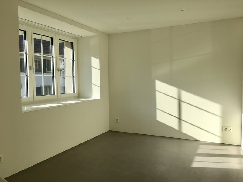 Wohnen am Bach , loftartiger Neubau im Altbau; Wohnen auf zwei Etagen (13)