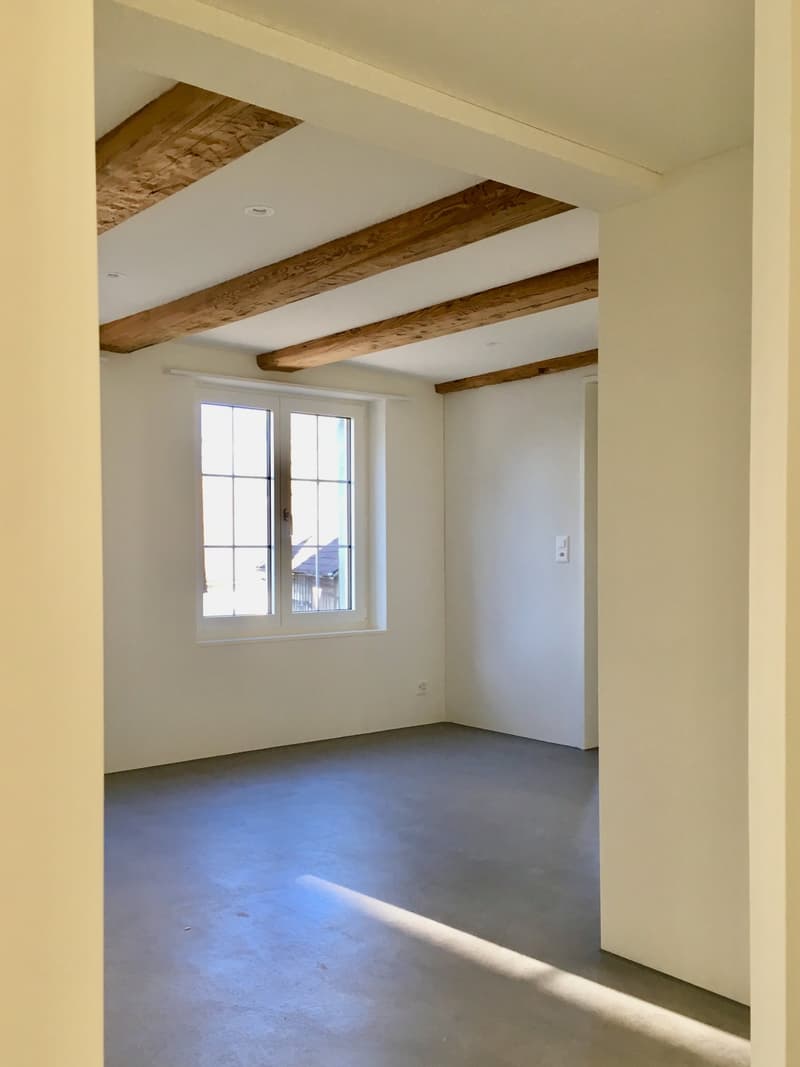 Wohnen am Bach , loftartiger Neubau im Altbau; Wohnen auf zwei Etagen (15)