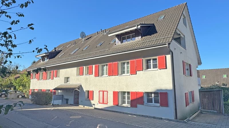 Grosszügige, durchdachte 4 ½-Zimmer- Wohnung, ruhiges Wohnquartier, inkl. 2 Tiefgaragenplätze (15)