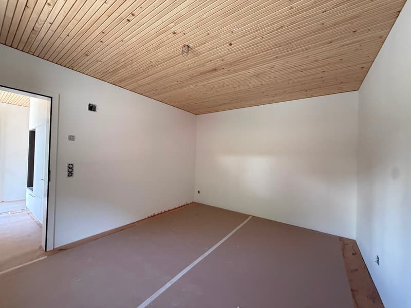Neubau-Dachwohnung mit herrlicher Aussicht (8)