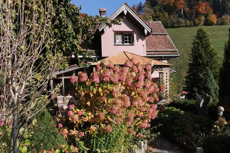Toggenburger Bauernhaus in einzigartiger Alleinlage  mit Ruhe, Aussicht und Geschichte (6)