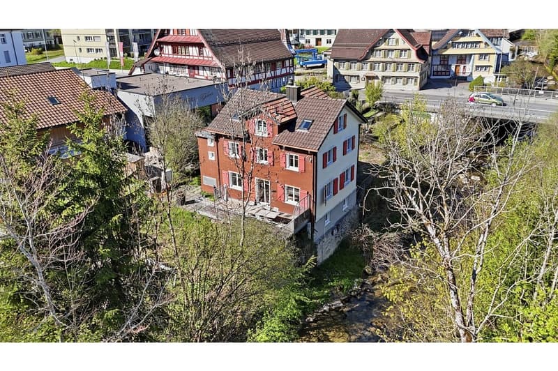 Grosses Einfamilienhaus in Neu St. Johann (3)