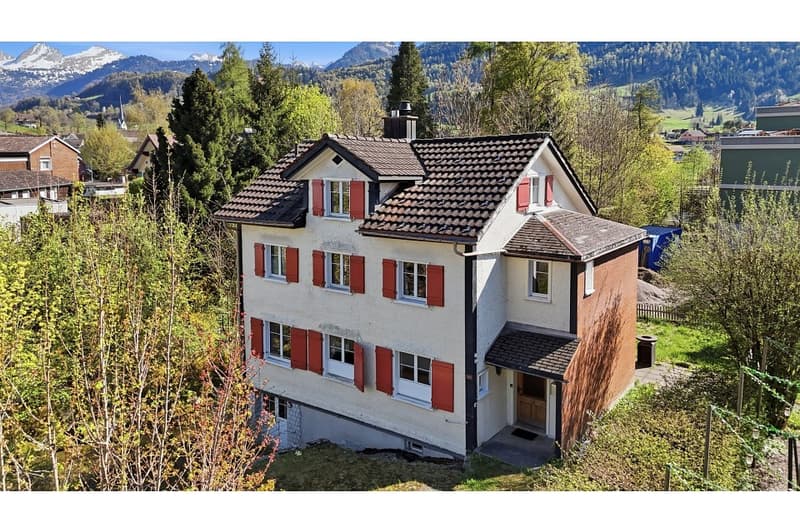 Grosses Einfamilienhaus in Neu St. Johann (1)