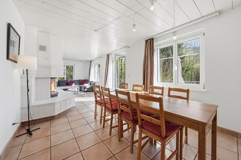 Grosses Einfamilienhaus in Neu St. Johann (8)