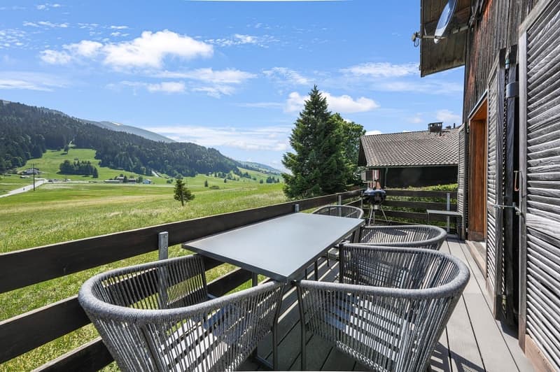 Exklusives 5.5-Zimmer-Chalet in unverbaubarer Aussichtslage in Wildhaus (7)