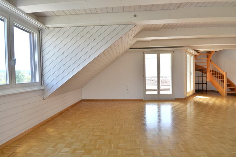 Nahe dem See - Leben, wo andere Ferien machen - charmante 3.5-Zi.-Maisonettewhng in Landschlacht (4)