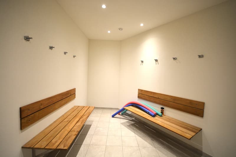 DOLCE VITA & LAGO in Brissago: Besondere 2-Zimmer-Wohnung mit atemberaubendem Seeblick (14)
