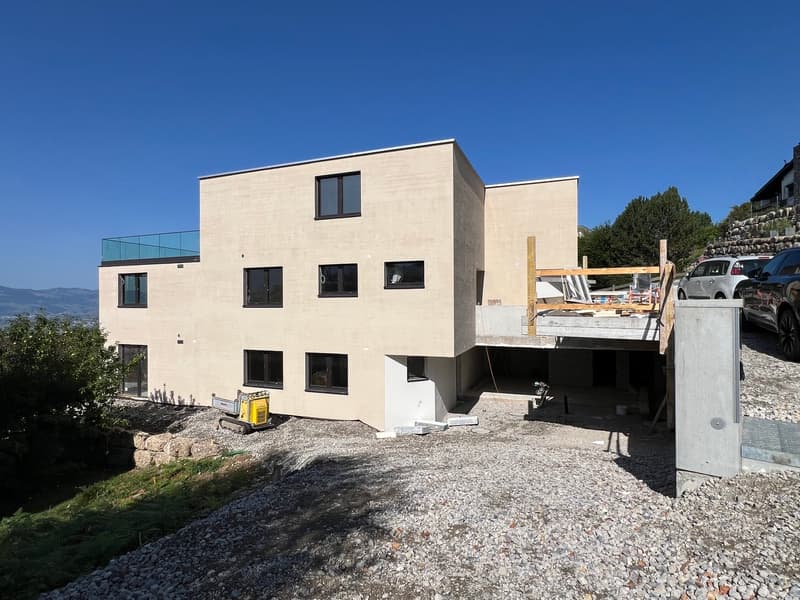 NEUBAU (6)
