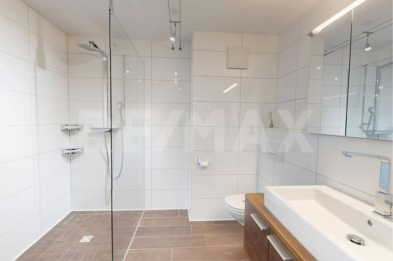 5.5-Zimmer Attikawohnung mit Sonnenterrasse - nahe St. Gallen, fern vom Alltag (3)