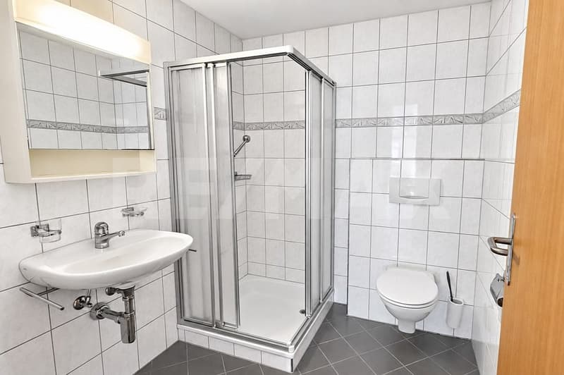 Grosszügige Dachwohnung zum Wohlfühlen (11)