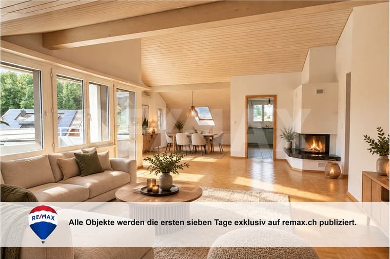 Grosszügige Dachwohnung zum Wohlfühlen (1)