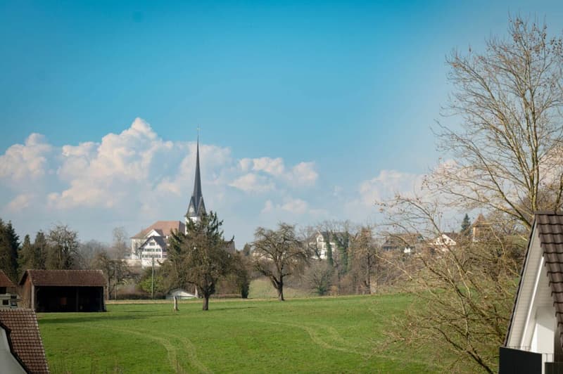 BAUSTART IST ERFOLGT! «Dorf Ottikon»: Freiraum und Wohnauswahl in einzigartigem Ensemble (12)