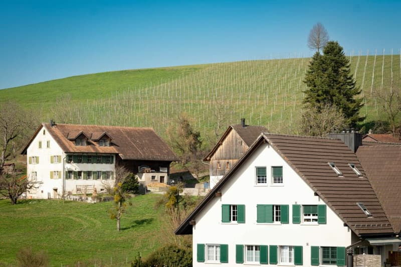 BAUSTART ERFOLGT! «Dorf Ottikon»: Freiraum und Wohnauswahl in einzigartigem Ensemble (10)