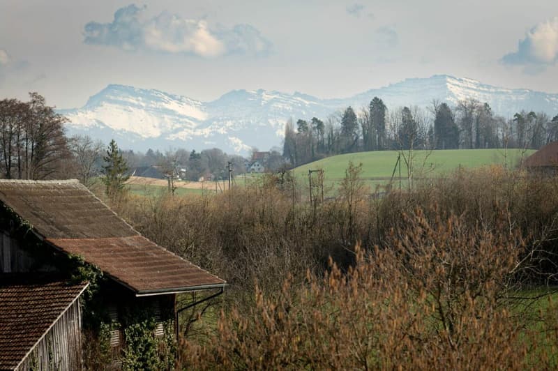 BAUSTART ERFOLGT! «Dorf Ottikon»: Freiraum und Wohnauswahl in einzigartigem Ensemble (9)