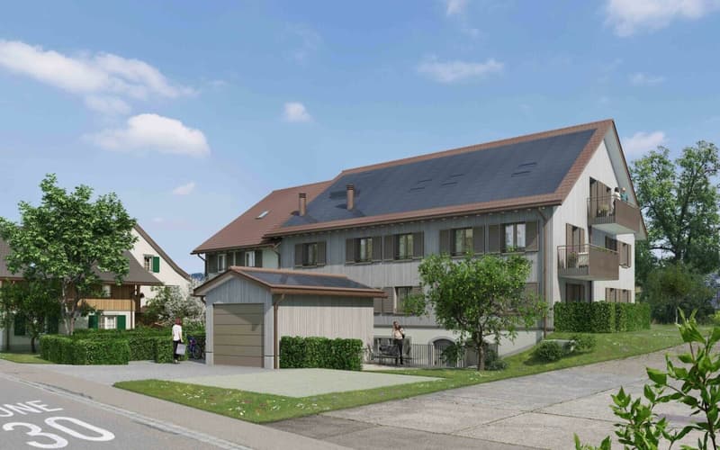 Exklusive 4½-Zimmer-Dachwohnung in idyllischer Lage oberhalb von Küsnacht (1)