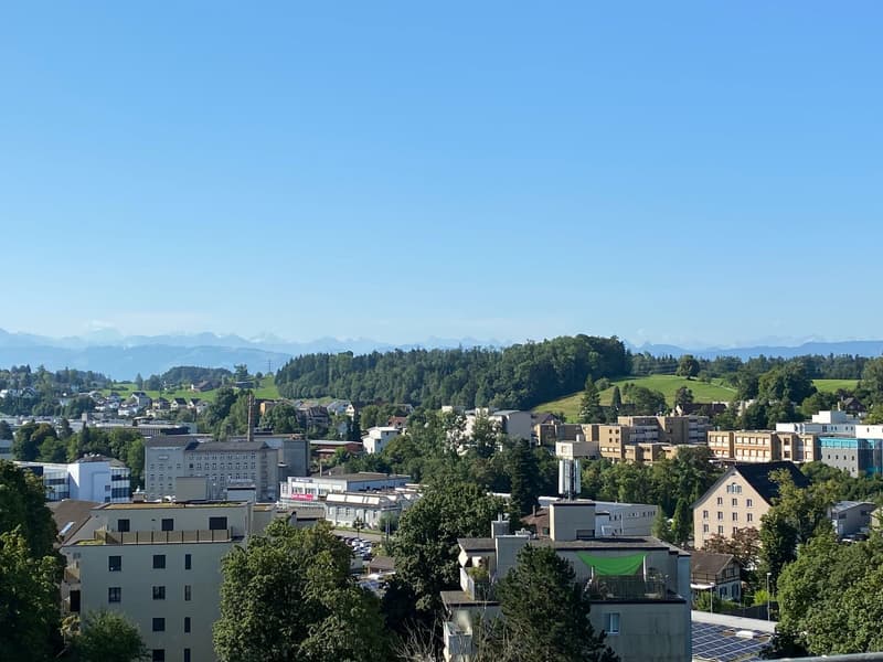 Moderne 4.5-Zimmer-Wohnung mit Balkon und Blick ins Grüne (6)