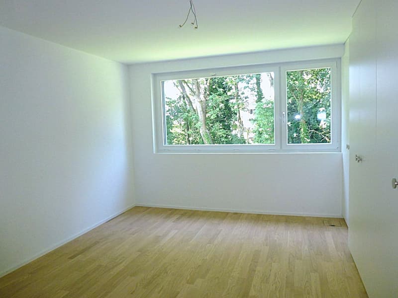 schöne Wohnung in Höngg (3)