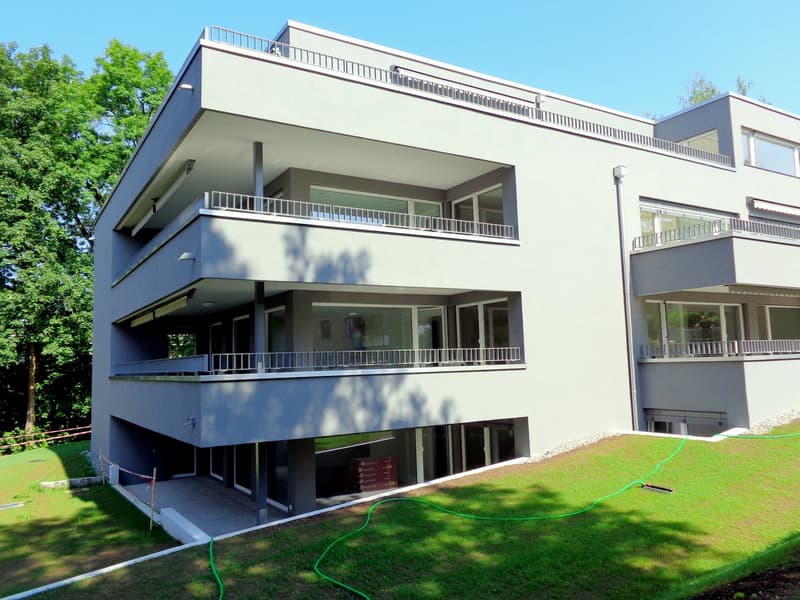 schöne Wohnung in Höngg (1)