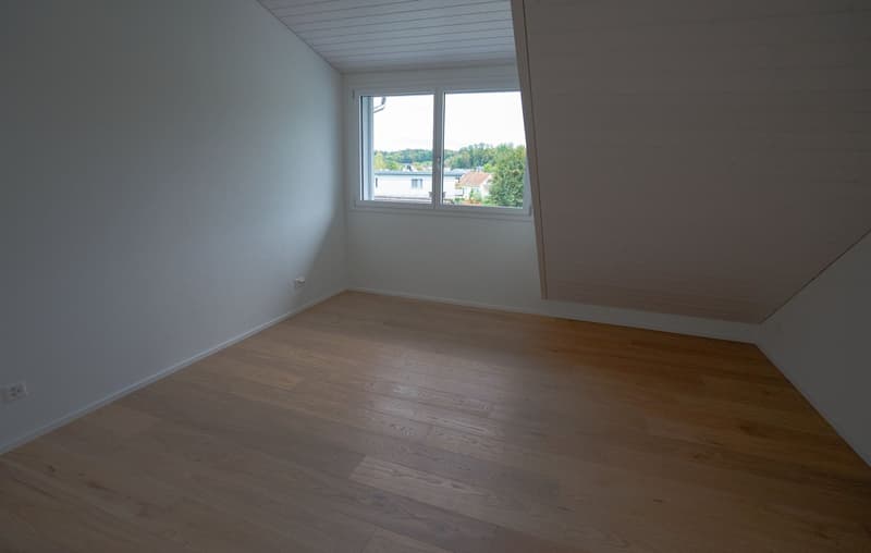 Grosse neue Dachwohnung an zentraler Lage mit Bergsicht, Garage inbegriffen (11)