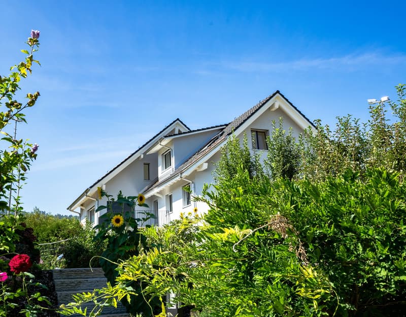 Grosse neue Dachwohnung an zentraler Lage mit Bergsicht, Garage inbegriffen (2)