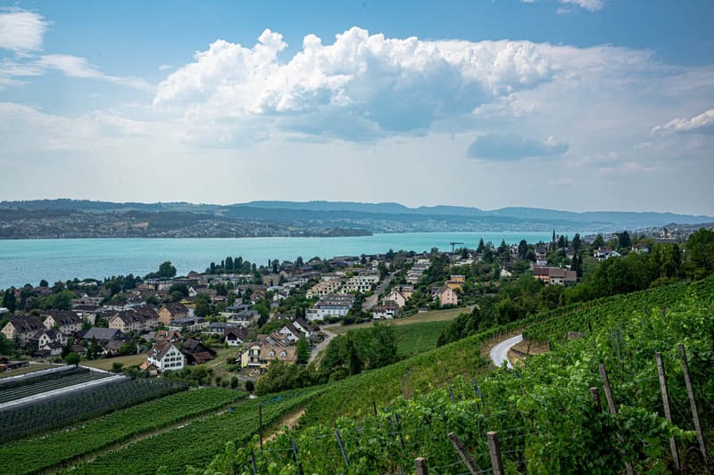 Sicht vom Mutzmalen aus