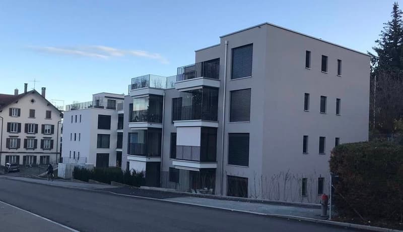 befristet - Moderne 4.5 Zimmerwohnung in Horgen (1)