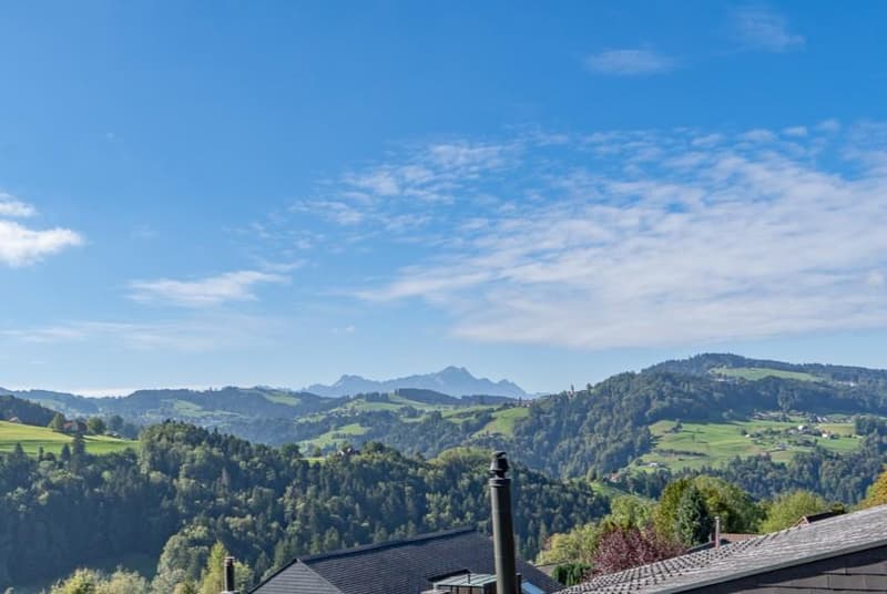 Säntisaussicht