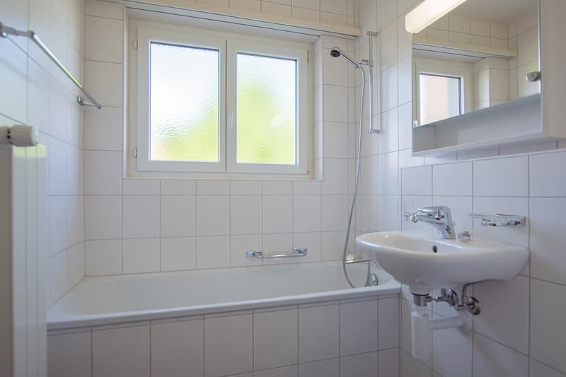 3001-badezimmer-zelgstrasse8-rorschacherberg-2367